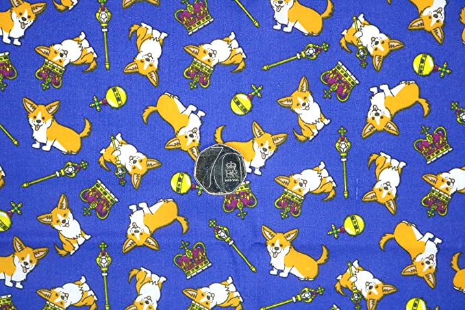 Pyrhan Art & Craft Children Nursery Football Polycotton Prints | 45 Inch Wide Dress Craft Fabric Material by The Metre | Polycotton Print Used in Sewing Kit and Accessories.