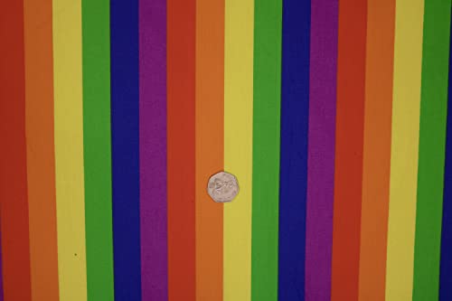 Pyrhan Gay Pride Flags Polycotton Prints | 45 Inch Wide Dress Craft Fabric Material by The Metre | Gay Flag Polycotton Print Used in Sewing Kit and Accessories-Quilting Fabric (10mm)