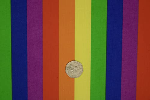 Pyrhan Gay Pride Flags Polycotton Prints | 45 Inch Wide Dress Craft Fabric Material by The Metre | Gay Flag Polycotton Print Used in Sewing Kit and Accessories-Quilting Fabric (10mm)