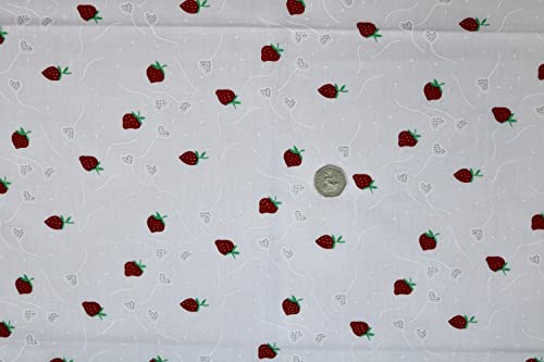 Pyrhan Printed Strawberry Embroided Floral Polycotton Prints | 45 Inch Wide Dress Craft Fabric Material by The Metre | Floral Polycotton Print Used in Sewing Kit and Accessories (Little Strawberry)
