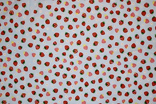 Pyrhan Strawberry Polycotton Prints –45 Inch Wide Dress Fabric Material by The Metre -Floral Polycotton Print Used in Sewing Kit and Accessories-Quilting Fabric.
